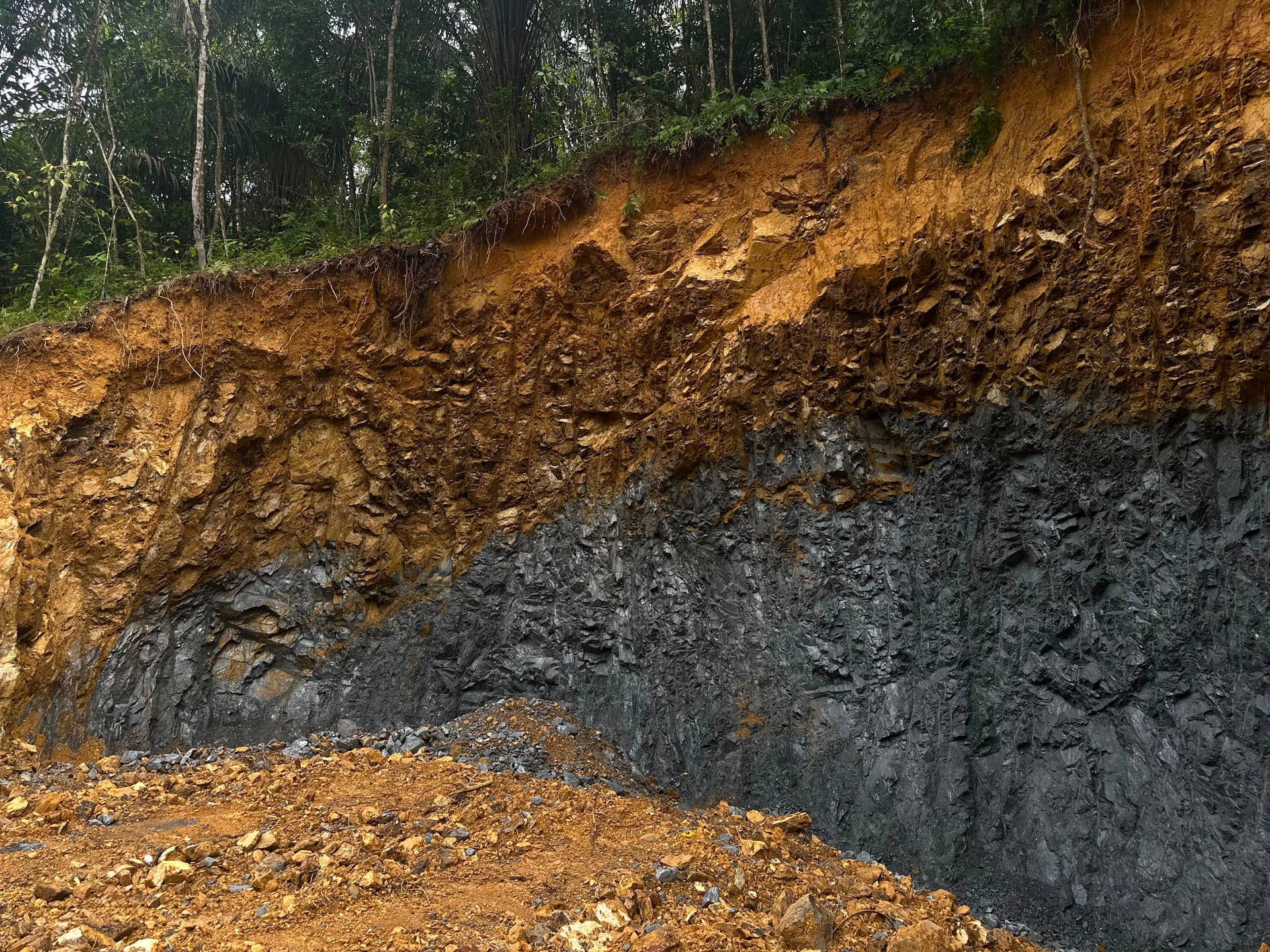 Kondisi tebing dan vegetasi di area kegiatan